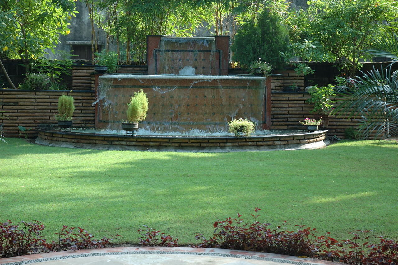 Lush Green Environment